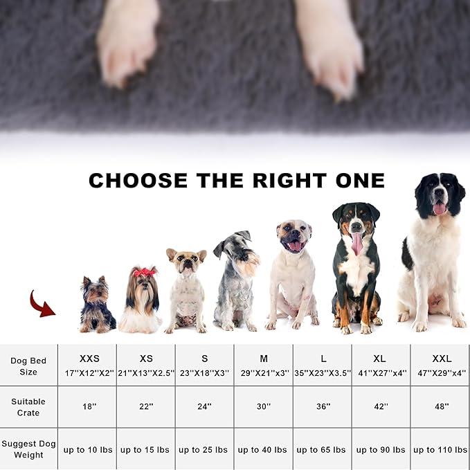 Plush Dog Crate Bed 21"x13")