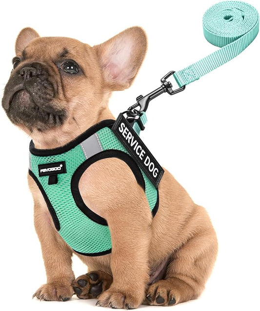 FAYOGOO Dog Harness for Small Dogs - Lightweight Service Dog in Training Harness with 6PCS Removable Patches - Puppy Harness for Walking Training