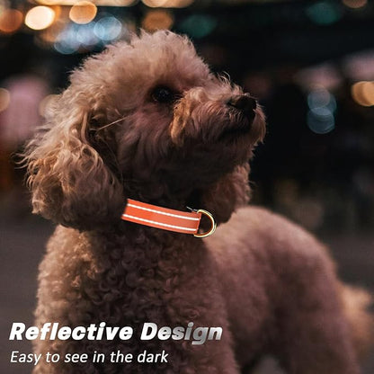 Reflective Dog Collar