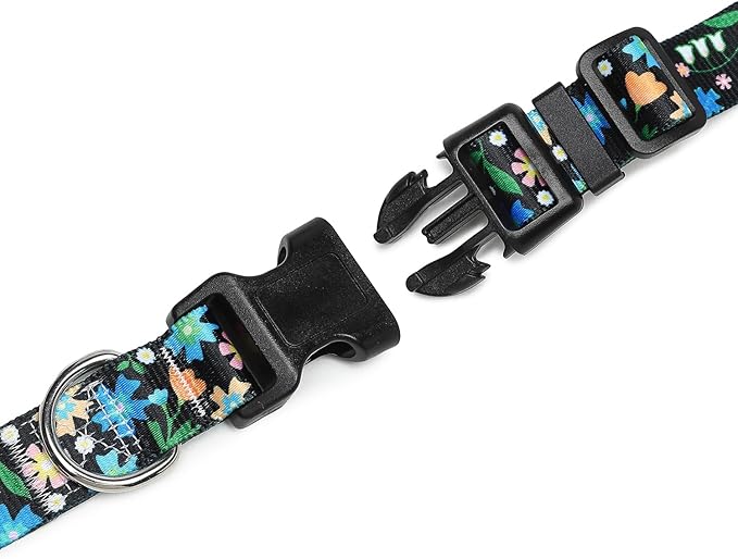 Adjustable Dog Collar with Patterns
