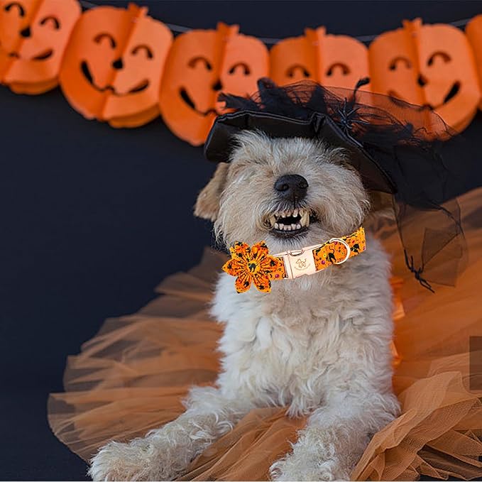 Elegant little tail Halloween Dog Collar