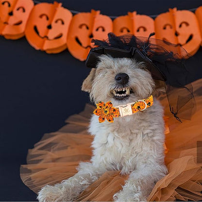 Elegant little tail Halloween Dog Collar