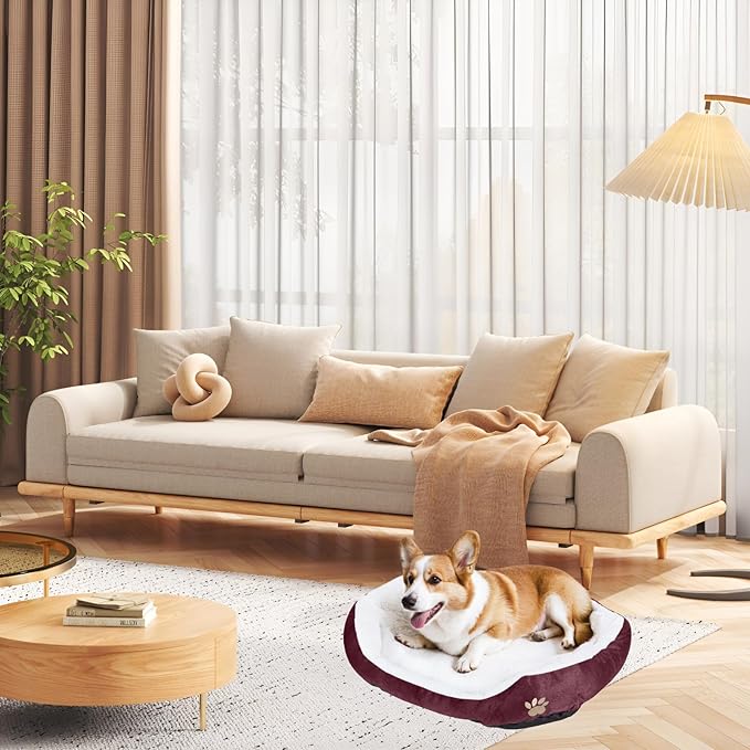 ShellKingdom Medium Dog Bed 35lbs, 23.62 19.68INCH (Wine