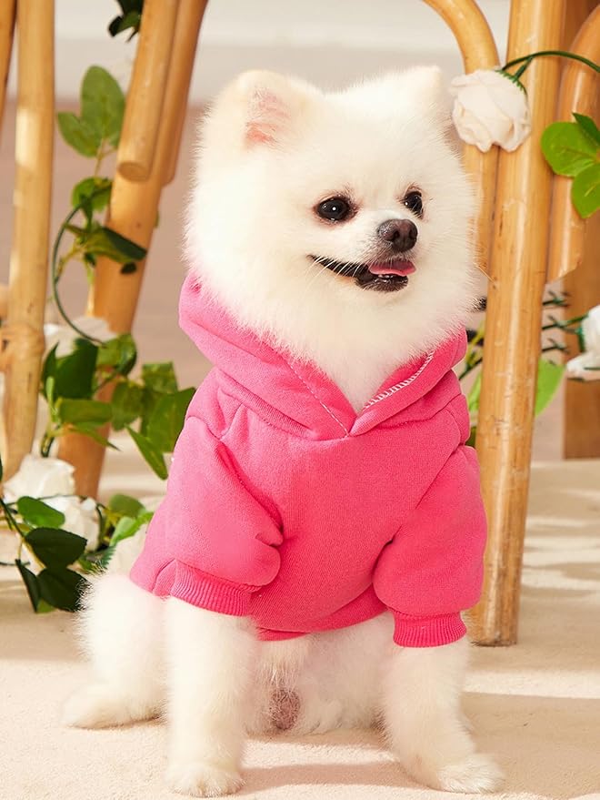 QWINEE Cartoon Bear Print Cat Hoodie Breathable Stretchy