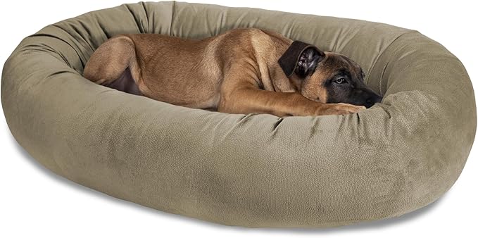 Arlee Orbit Orthopedic Memory Foam Dog Bed