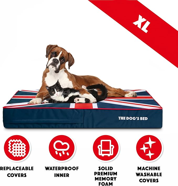 The Dog’s Bed Orthopedic Memory Foam Dog Bed 46x28, Pain