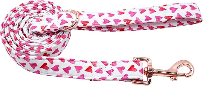 Valentine's Day Dog Leash Durable Handmade Dog Leashes 135cm