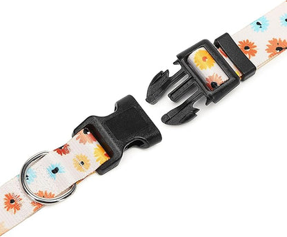 Adjustable Dog Collar with Patterns