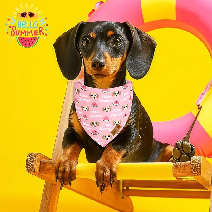 Summer Dog Bandanas 2 Pack