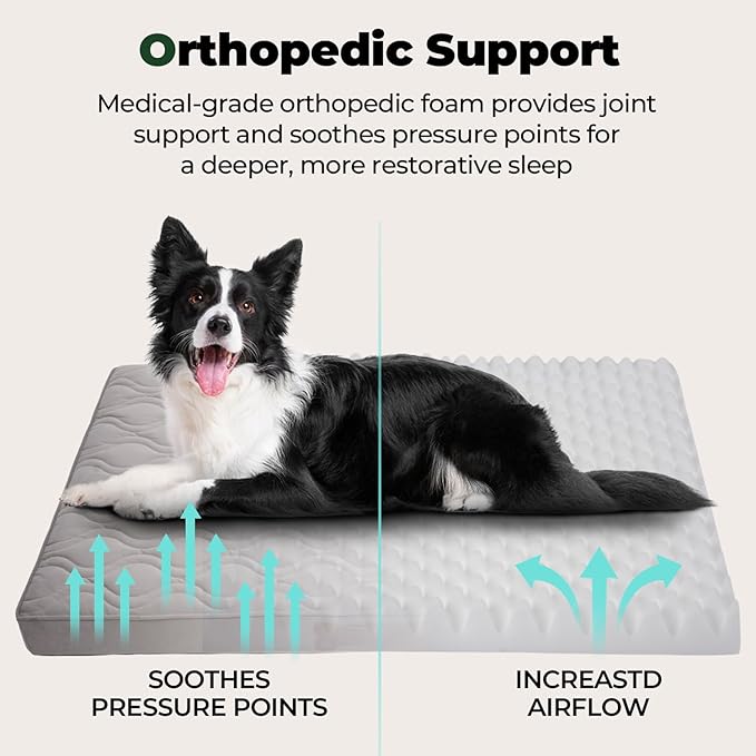 BALANCE Dog Crate Bed