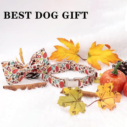 Unique Style Paws Dog Collar with Bow