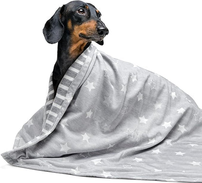 ARGOPET Dog Cooling Blanket 41 * 30inch Lightweight