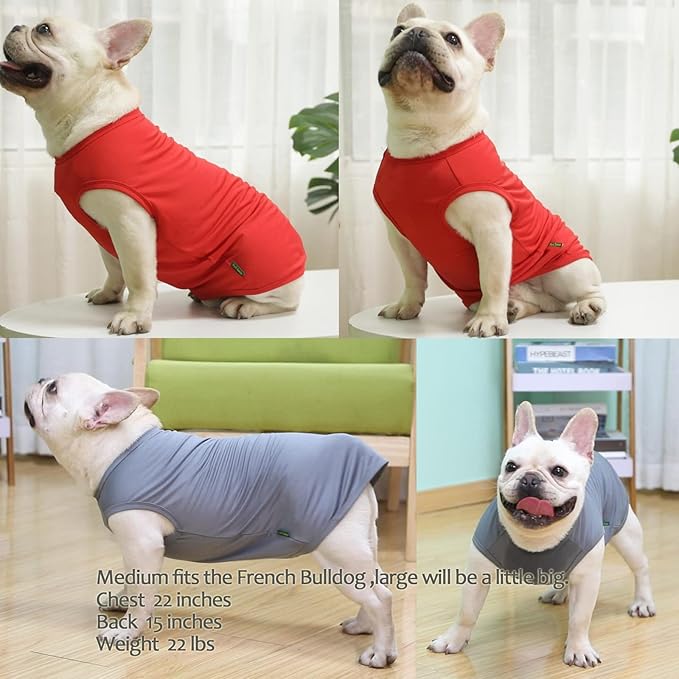 Dog Blank Quick Dry Shirts