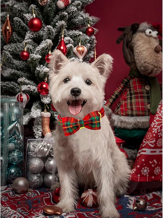 Lionheart glory Christmas Plaid Dog Collar