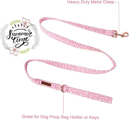 Summer Dog Leash Match Summer Dog Collar