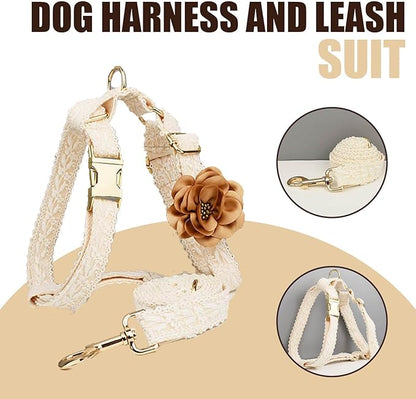 Small Dog Harness and Leash Set Cute Harness for Girl Dogs Luxury Fancy Puppy Harness with Bow Adjustable Lace Flowers Dog Harness No Pull with Handle for Easy Dog Walking (White,S)