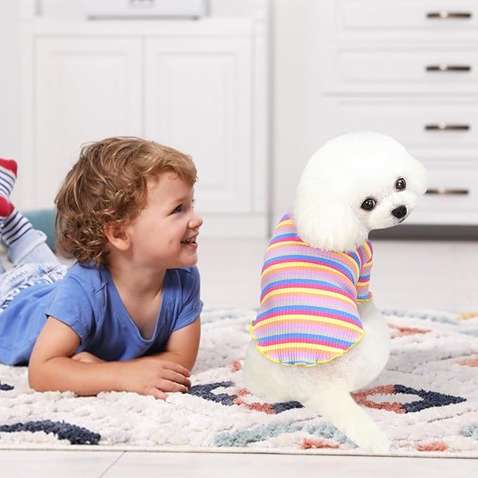 Small Medium Dog Clothes Rainbow Striped Dog Shirts Stretchable Long Sleeve Cat T-Shirt Pet Outfits for Chihuahua Yorkie Teddy (Yellow Edge, X-Large)