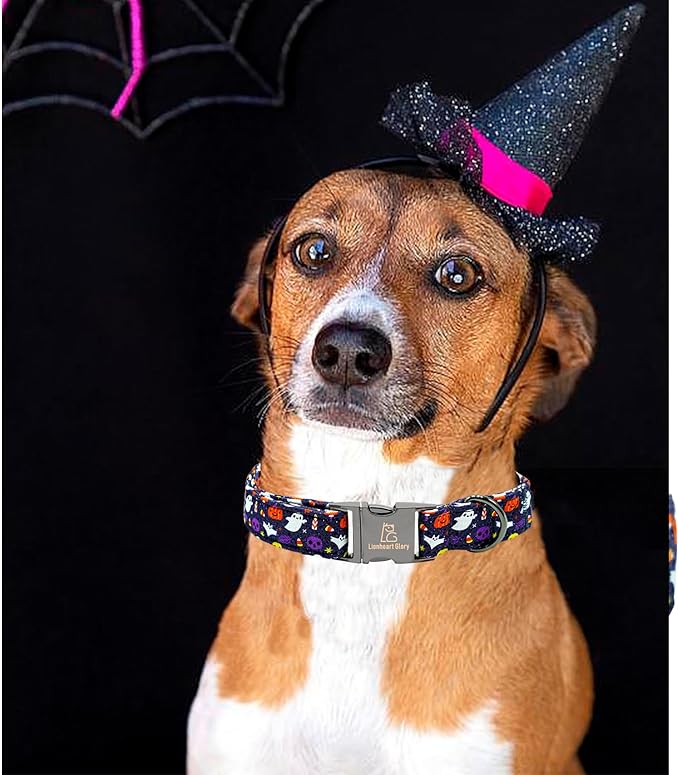 Lionheart glory Dog Collars Fall Halloween Pumpkin Collar