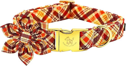 Elegant little tail Fall Dog Collar