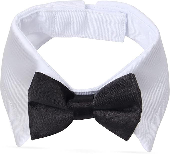 Yewong 2 Pieces Pet Formal Accessories Set - Pet Top Hat with Pet Formal Necktie/Bowtie Birthday Party Gradation Halloween Costumes Accessories for Dog Cat (Bowtie Collar)