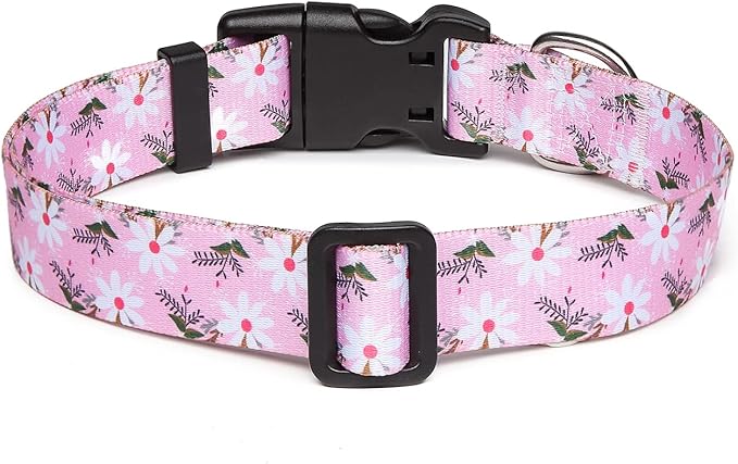 Adjustable Dog Collar with Patterns