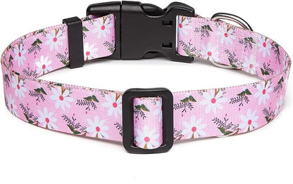 Adjustable Dog Collar with Patterns