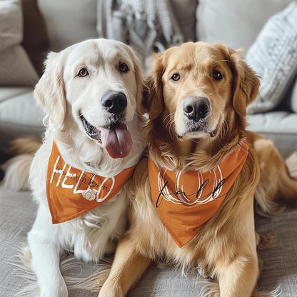 Fall Dog Bandana 2 Pack Thanksgiving Dog Bandanas Pumpkin Pet Scarf Reversible Fall Triangle Bibs Soft Cotton Boy Girl Dog Bandanas Accessories for Small, Medium, Large Dogs (Large)