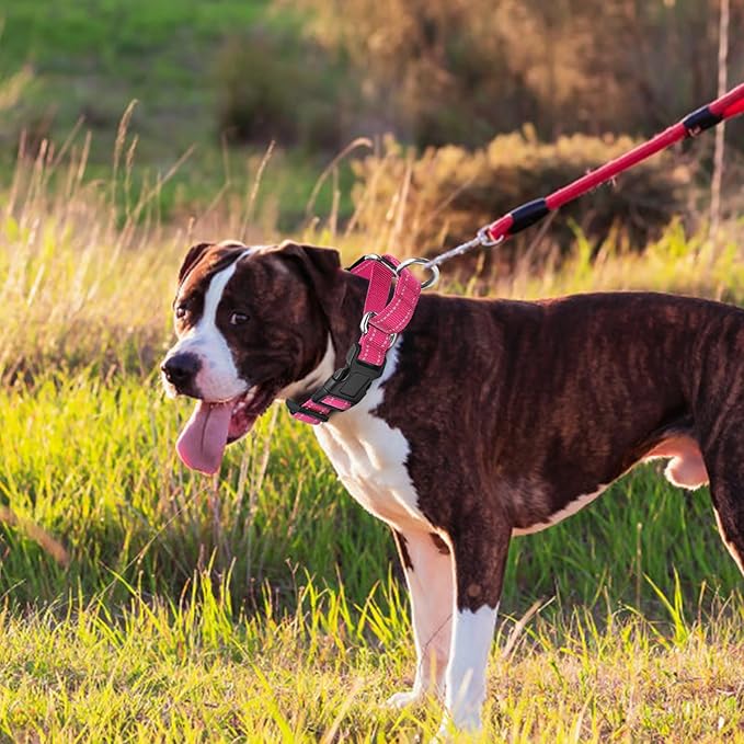 Reflective Martingale Dog Collars. Dog Collar with Quick