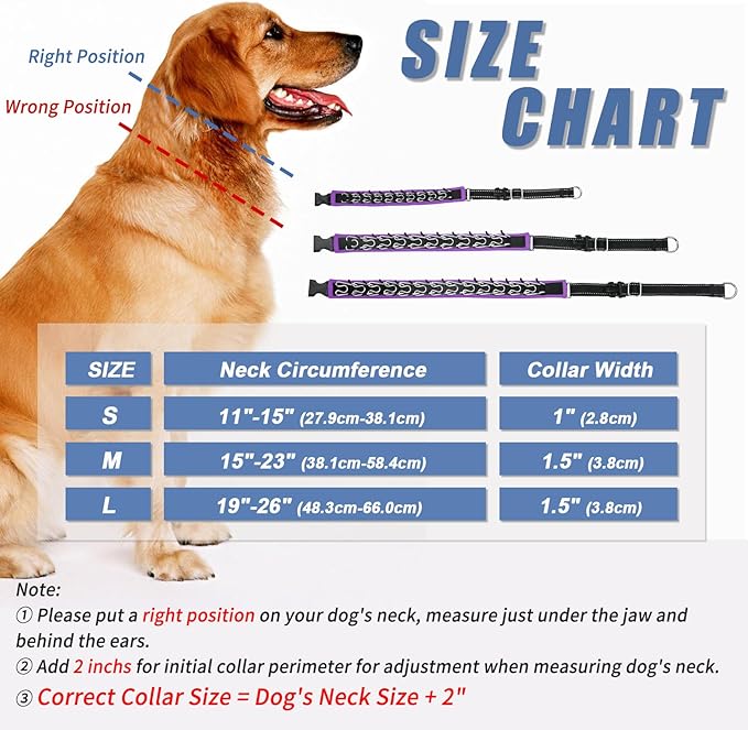 Martingale Collar for Dogs