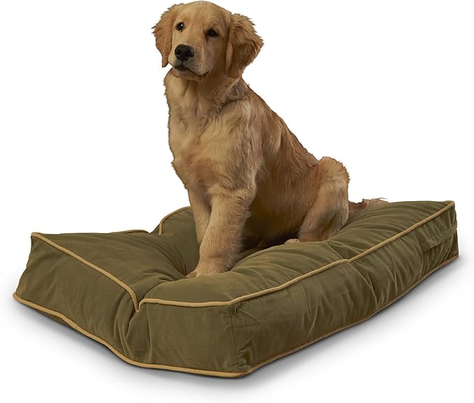 South Pine Porch Buddy Rectangle Pillow Style Dog Bed (24" x 36")