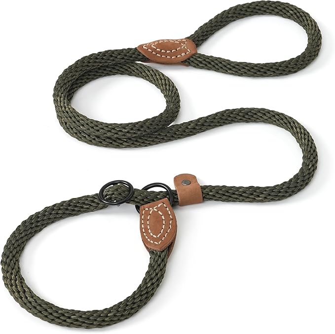 Mile High Life Slip Leads for Dogs 6 Feet