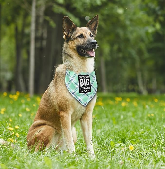 Dog Bandana (B65)