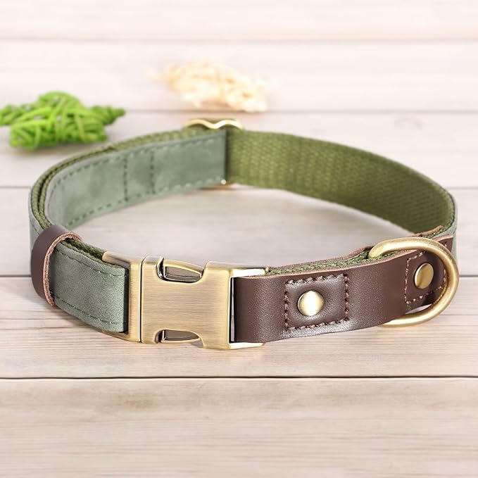 Didog Soft Padded Leather Dog Collars for Small Dogs