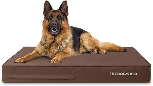 The Dog’s Bed Orthopedic Memory Foam Dog Bed 64x44, Pain