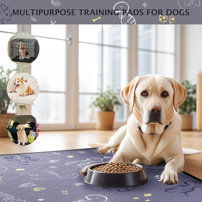 IEUUMLER Washable Pee Pads for Dogs 2 Pack EU007 (Gray 36"X24"-2pcs)