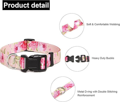 Adjustable Dog Collar with Patterns