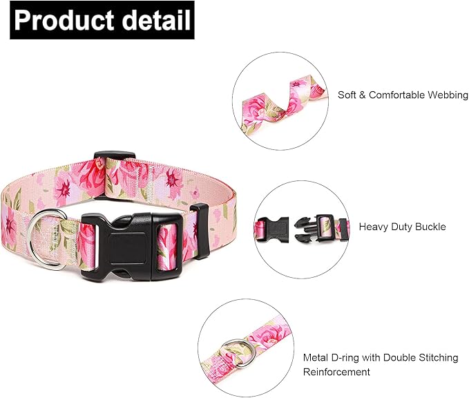 Adjustable Dog Collar with Patterns