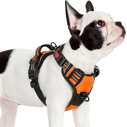 rabbitgoo Dog Harness Small Sized, No Pull Pet Harness with 3 Buckles, Adjustable Soft Padded Dog Vest with Instant Control Handle, Easy Walking Reflective Pet Vest for Small Dogs, Orange, S