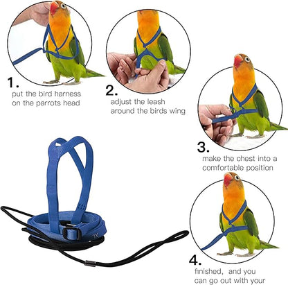 2 pcs Pet Parrot Bird Harness and Leash, Adjustable Training Design Anti-Bite, Outdoor Flying Training Rope Kit for Bird Parrots Fits Birds Chest Between24-51cm /9.45-20inch - M (Blue)