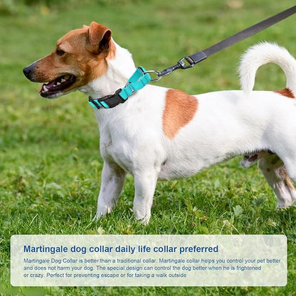 Reflective Martingale Dog Collars. Dog Collar with Quick