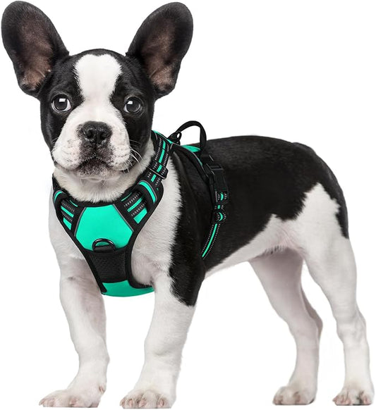 rabbitgoo Dog Harness, No-Pull Pet Harness with 2 Leash Clips, Adjustable Soft Padded Dog Vest, Reflective No-Choke Pet Oxford Vest with Easy Control Handle for Small Dogs, Turquoise, S