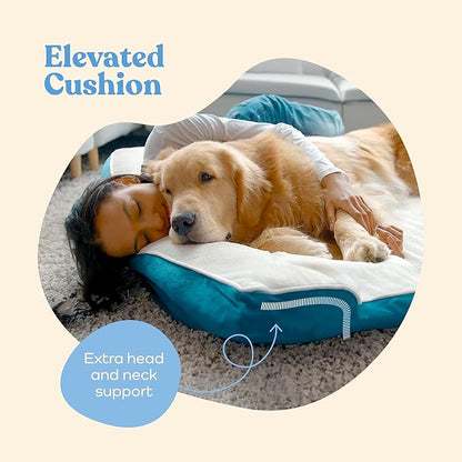 Orthopedic Sofa Dog Bed