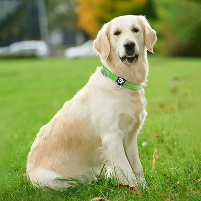 azuza Reflective Dog Collar