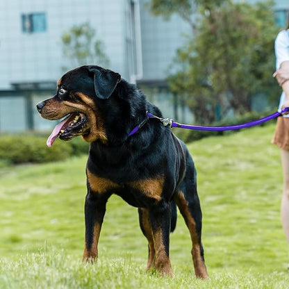 Dog Leash ((1/2") - 6FT, Purple)
