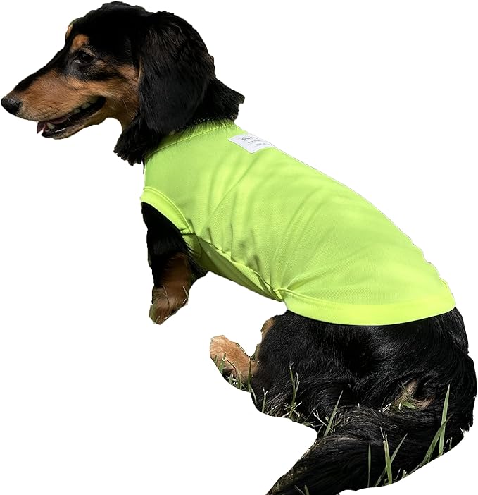 Dachshund Clothes for Dogs Mini and Adults Neon T Shirts (S