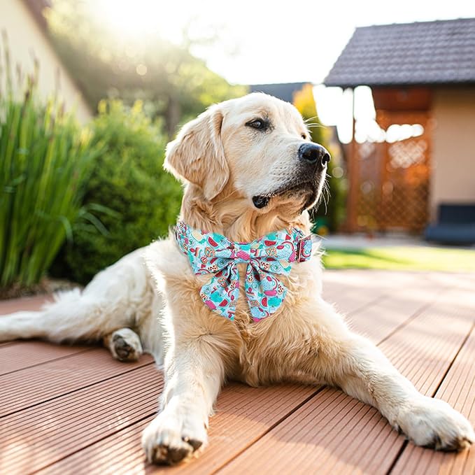 Maca Bates Summer Dog Collar with Fruit Icecream Print Bow Bowtie for Dogs Adjustable Breakaway Bow Tie Cute Puppy Collars Birthday Gift for Small Medium Large Girl Boy Male Female Puppies Pets