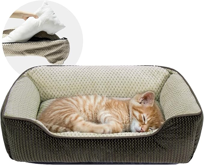 Miguel Cat Bed for Indoor Cats Washable Removable Cover 20 Inch