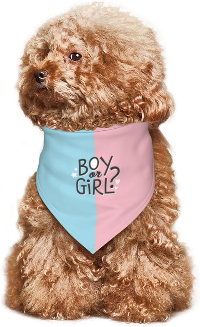 He Or She What Will It Be? Gender Reveal/Baby Announcement Dog Bandana,Pet Neckerchief for Pets Daily Wear Photo Prop Party Supplies (boy or Girl-1)