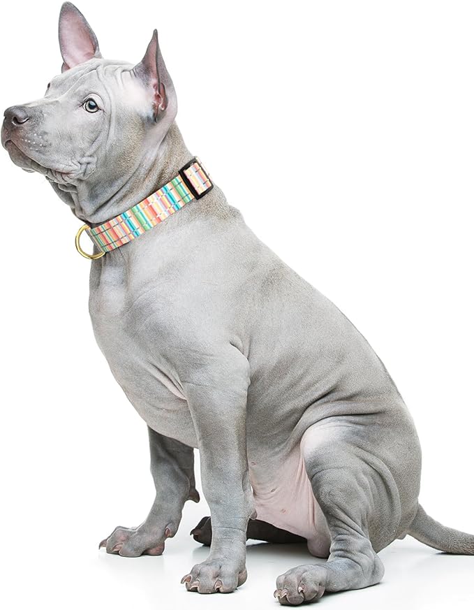 Reflective Dog Collar