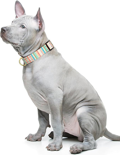 Reflective Dog Collar